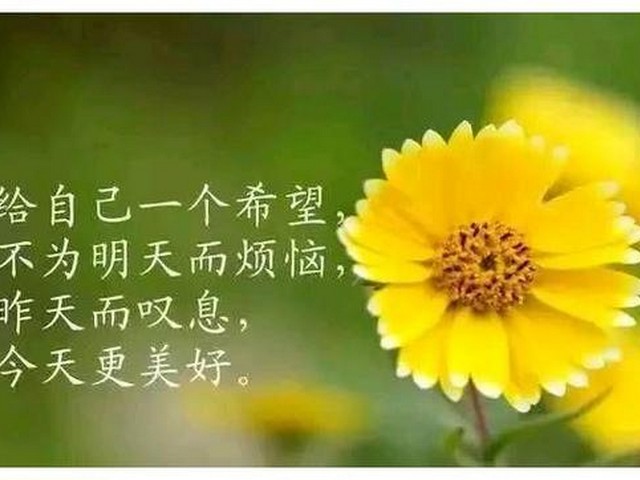 初中语文励志名句